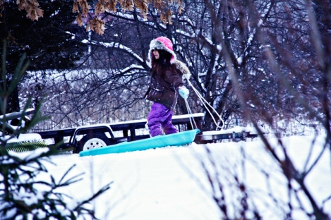 Jess pulling sled