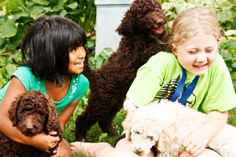 Little girls and poodle puppies